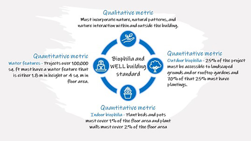 Biophilia and WELL building standard