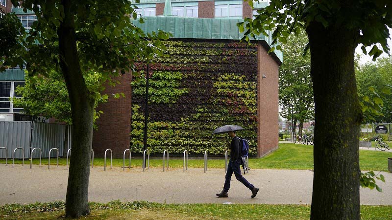 Man passing in between the sustainable buildings 