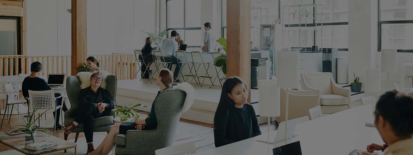 Diverse businesspeople working in a sunny, collaborative office space with plants and a variety of comfortable seating